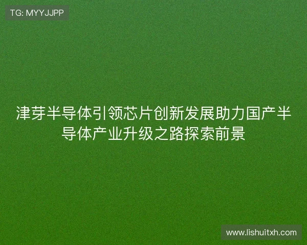 津芽半导体引领芯片创新发展助力国产半导体产业升级之路探索前景